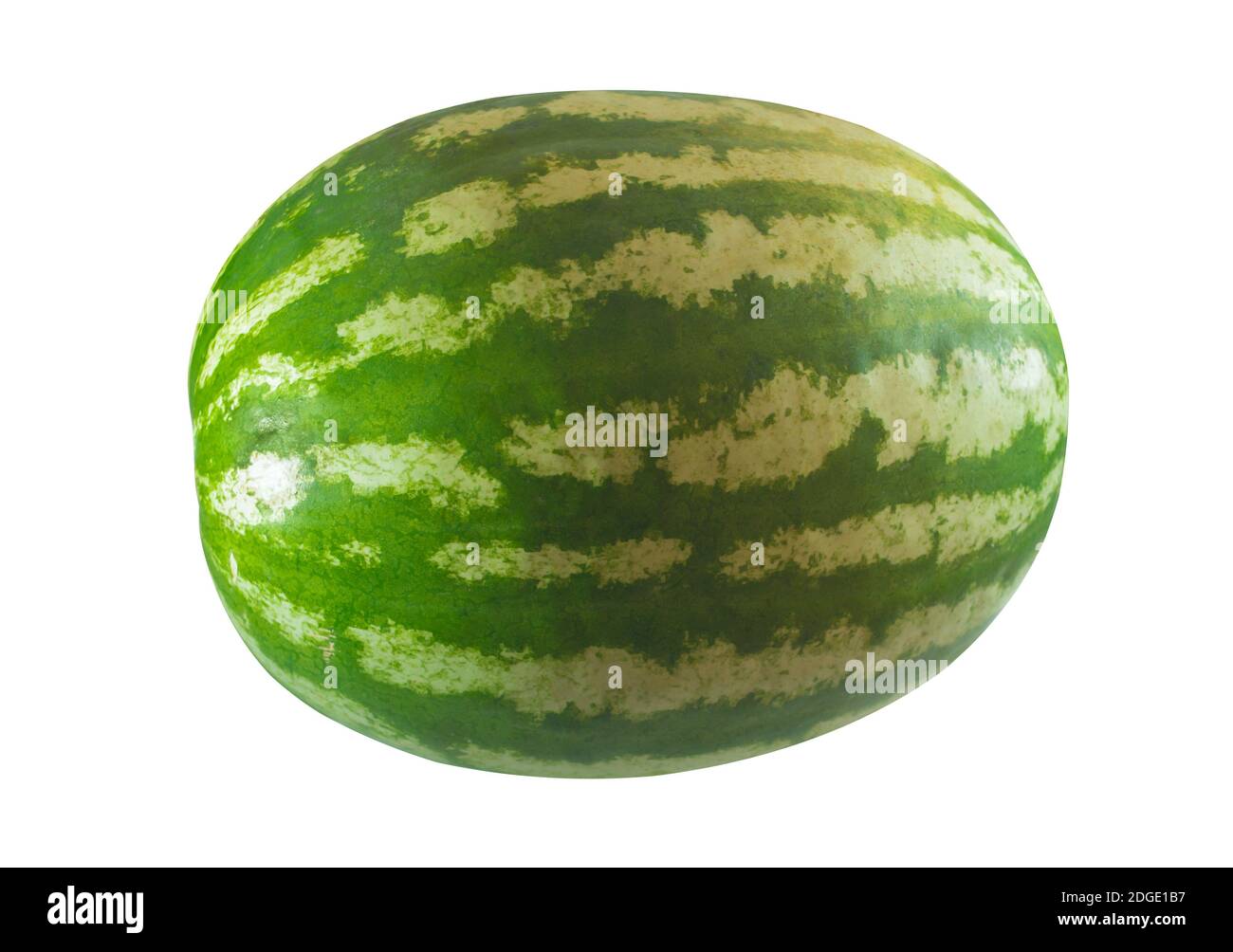 Large watermelon whole fruit on white background, seasonal fruit symbol of autumn, sweet lunch snack Stock Photo
