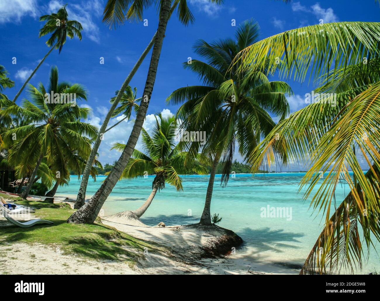 Tropical beach with palm trees and sand, Moorea french Polynesia Stock Photo