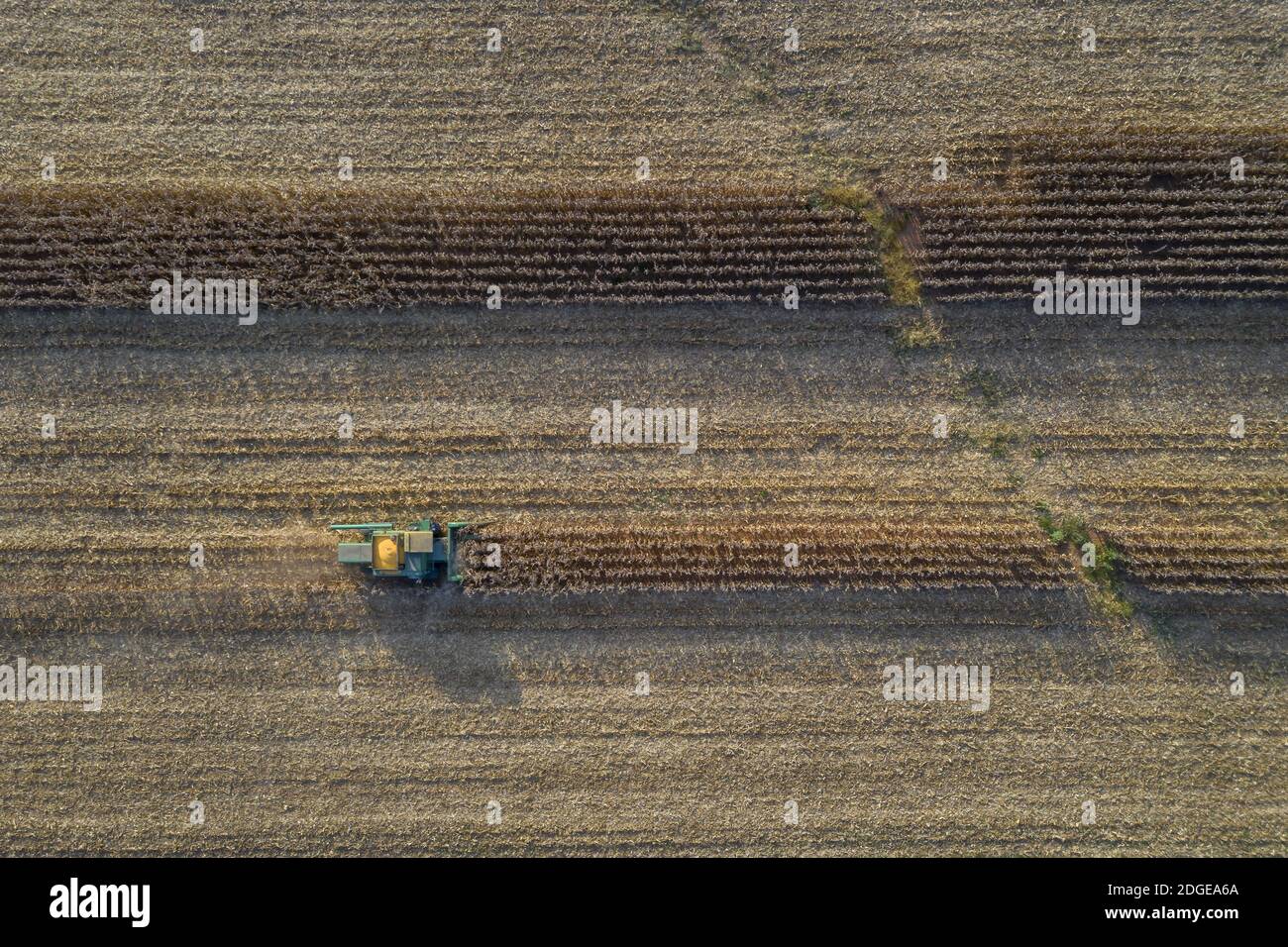 Aerial View Of Workers In A Field Harvesting Crops For Consumers Stock Photo