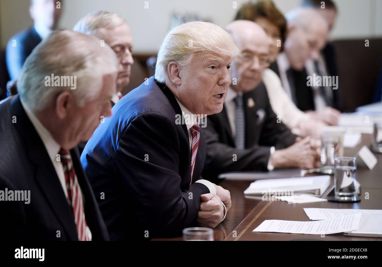 President Donald Trump speaks during a Cabinet meeting in the Cabinet ...