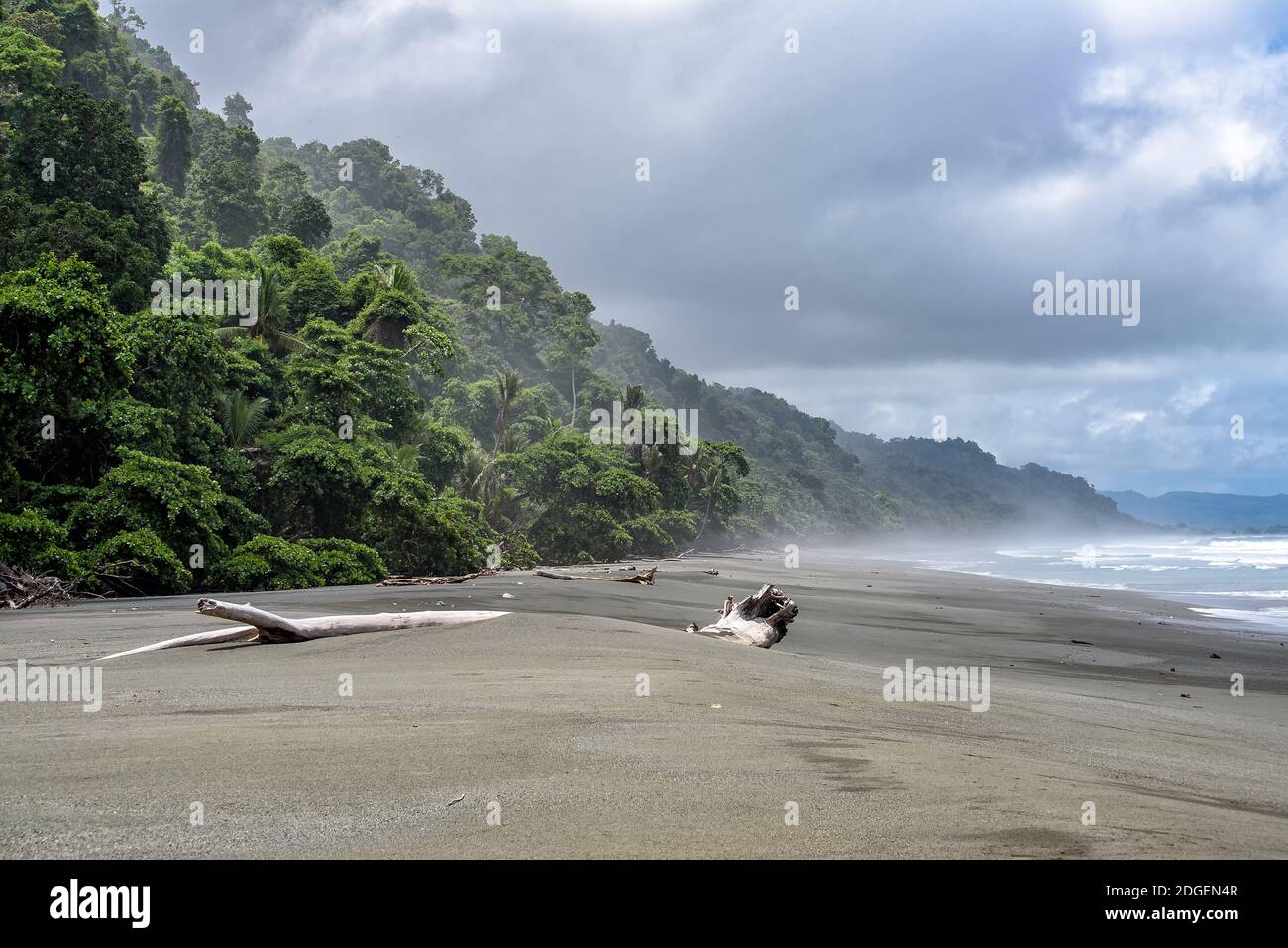 Corcovado national park in Costa Rica Stock Photo