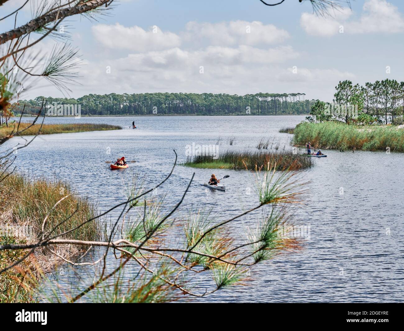 Kayaking and paddleboarding on Western Lake, a coastal dune lake in Grayton Beach State Park, in the Florida panhandle county of South Walton, USA. Stock Photo