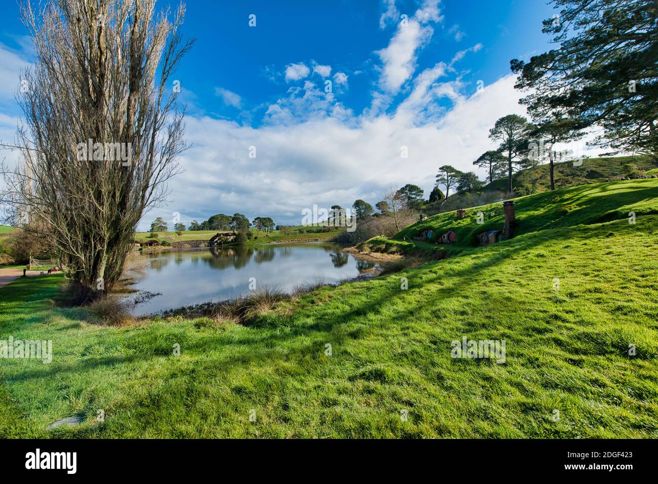 Beautiful lake and tree in Hobbiton Park, New Zealand Stock Photo