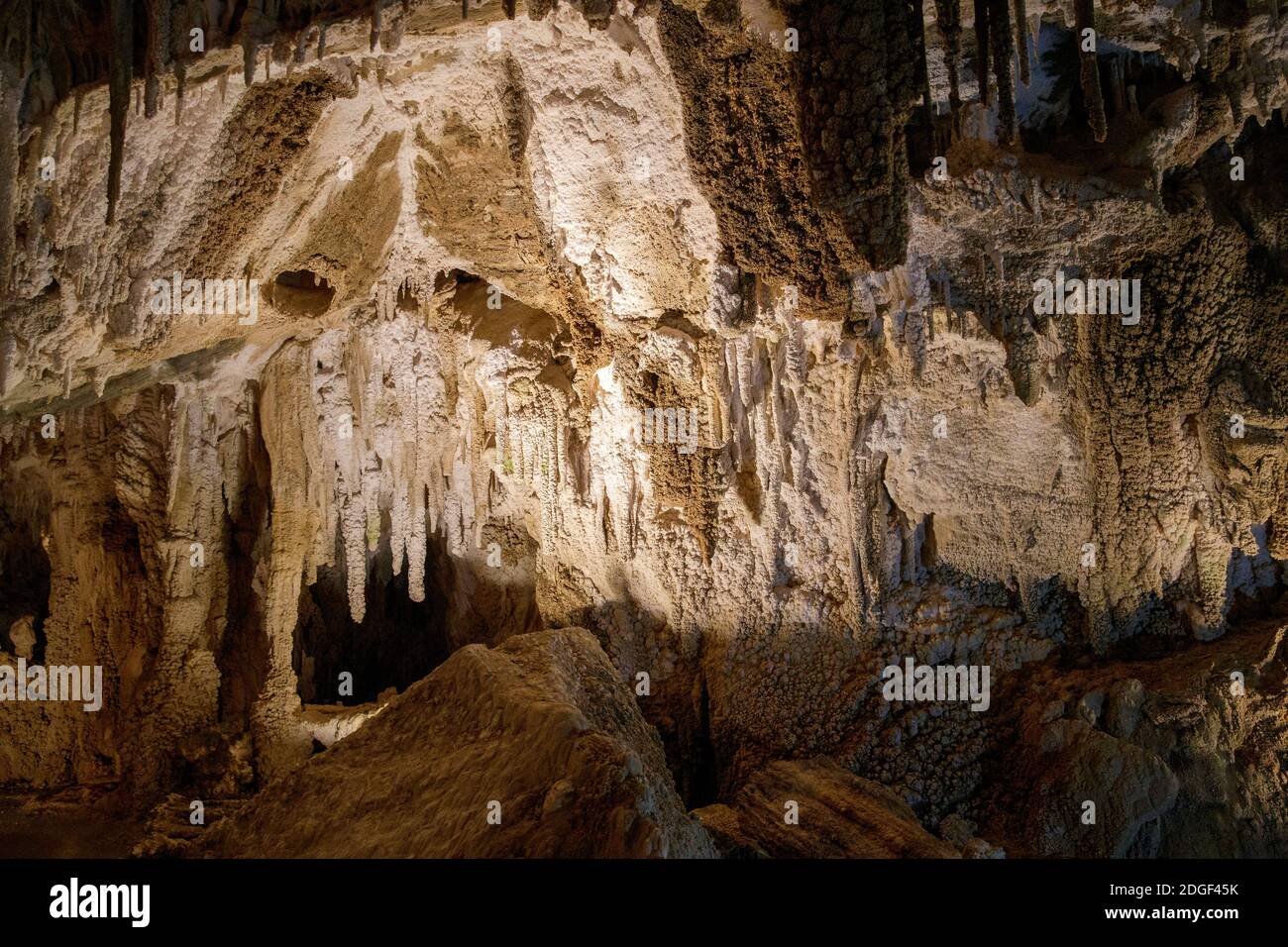 Inside the Ngarua Caves, Takaka Hills, Nelson Tasman, New Zealand