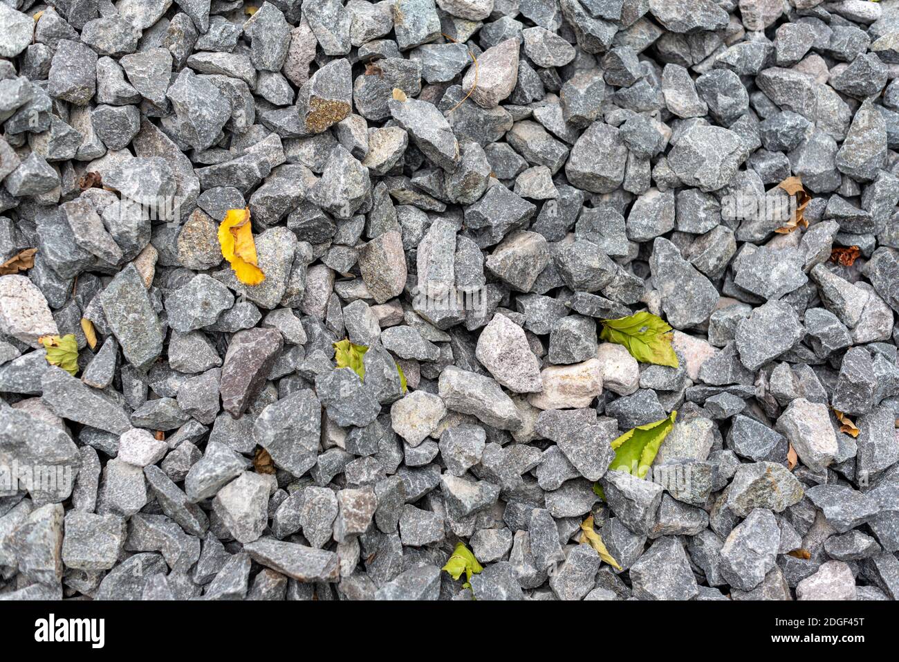 Little gray pebbles texture with grass and leaves sharp focus Stock ...
