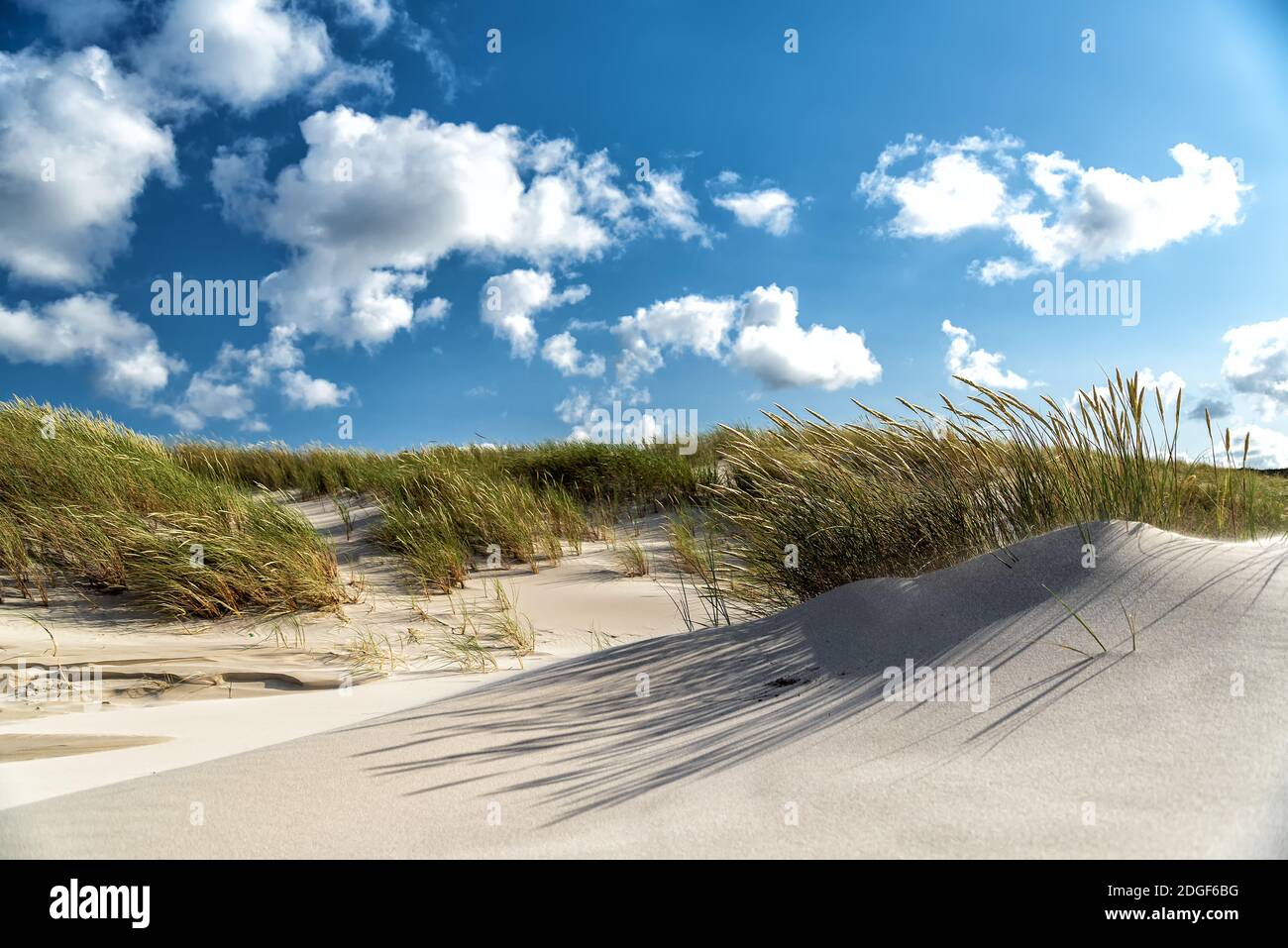 Dunes with marram gras Stock Photo