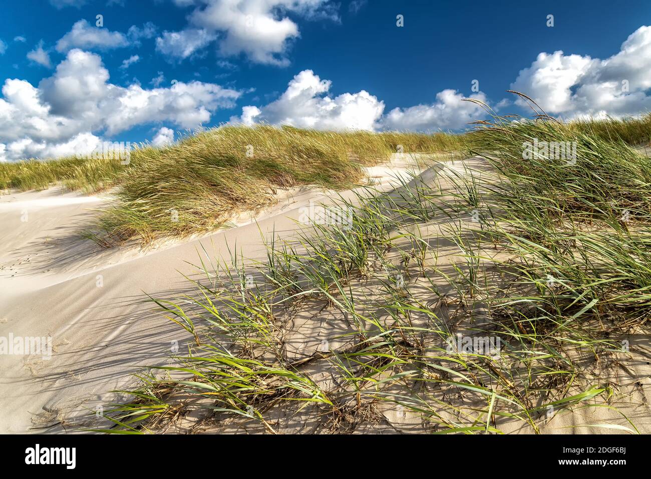 Dunes with marram gras Stock Photo