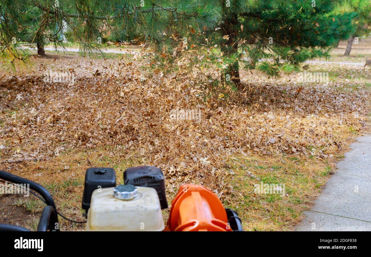 Man in work blows off yellow and red fallen autumn leaves in cleaning yard with wind turbine, cleaning lawn Stock Photo