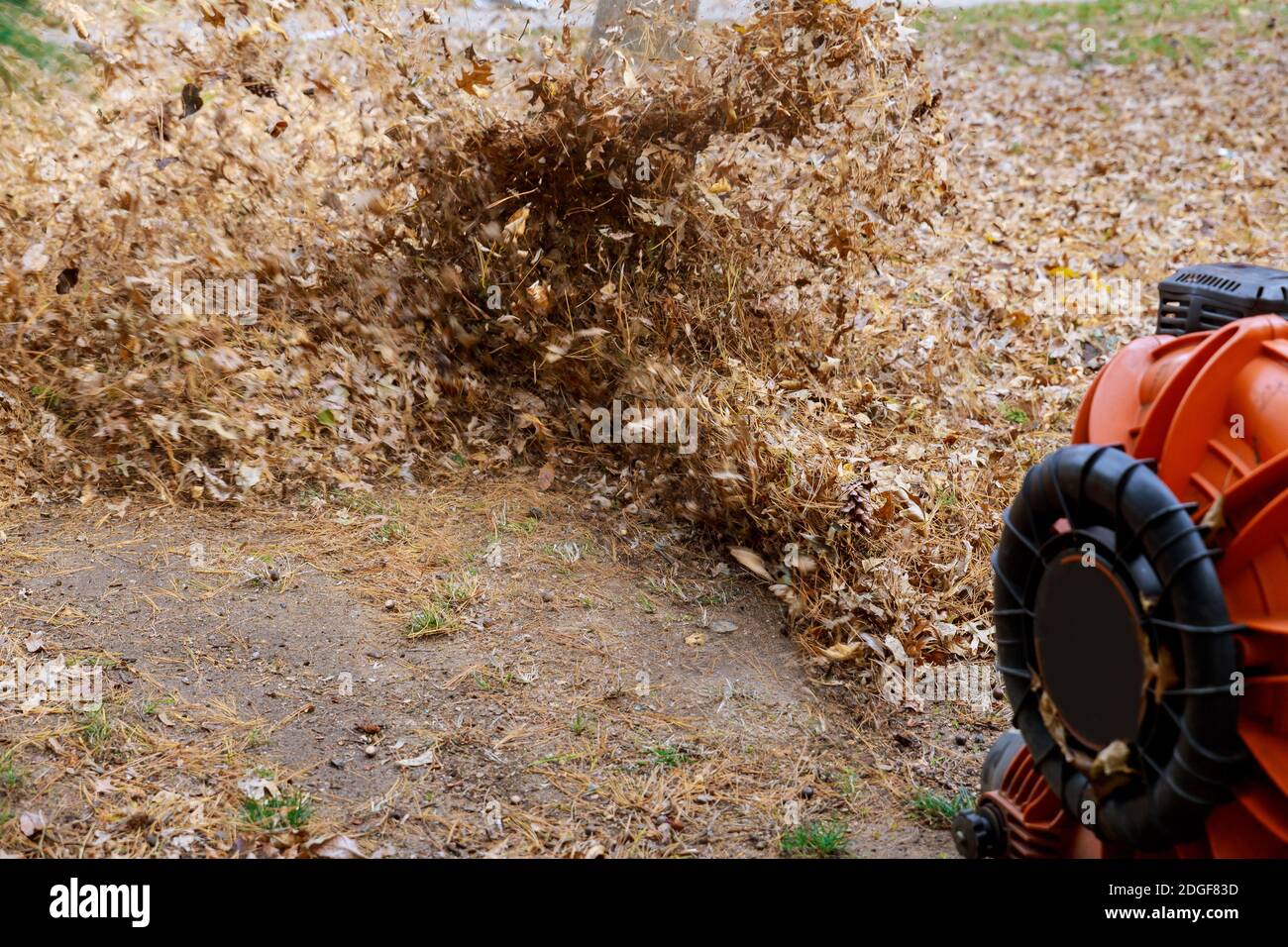 Cleaning of the territory from leaves in autumn with brooms, Stock Photo