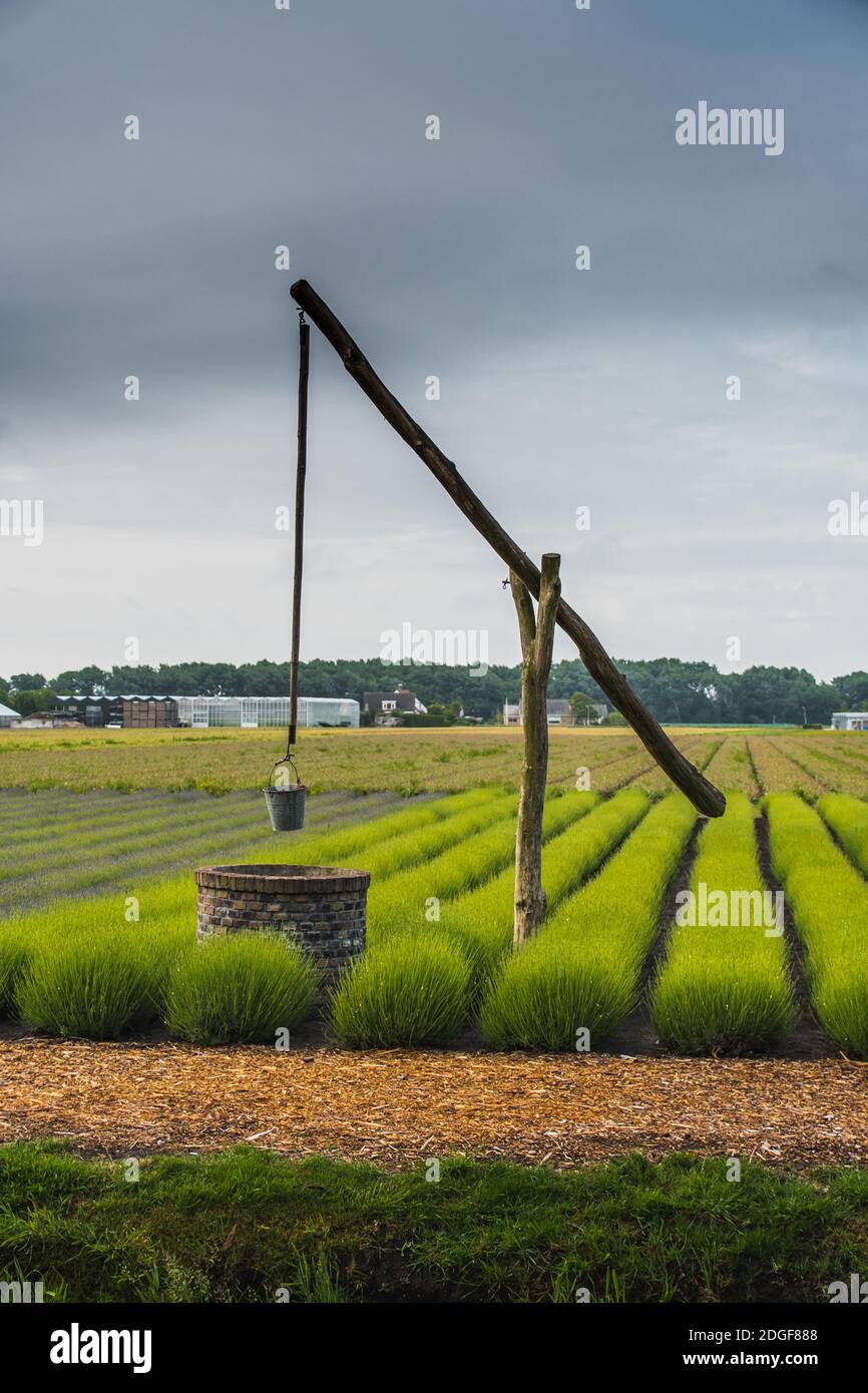 Water well bucket hi-res stock photography and images - Alamy
