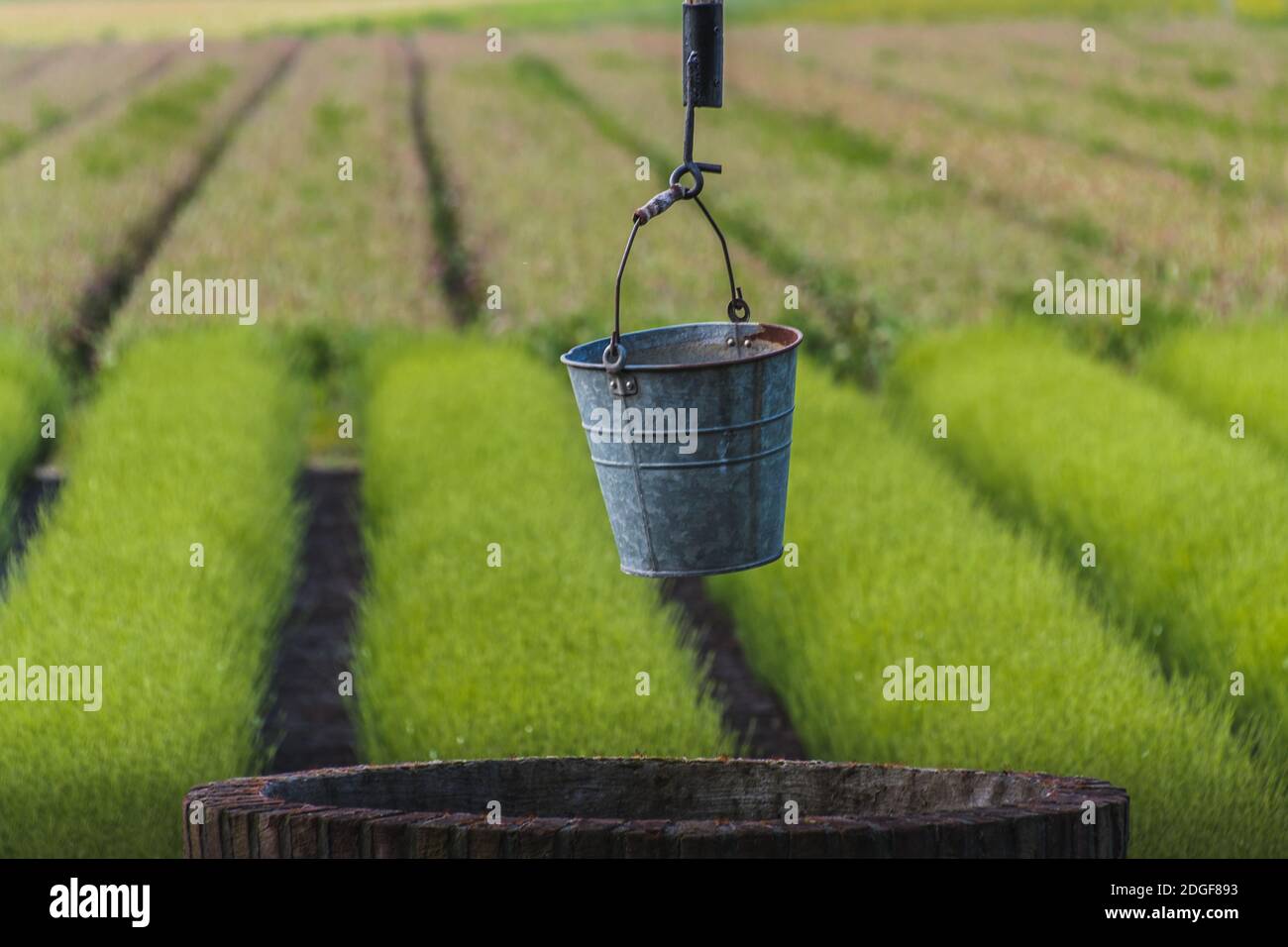 Water well bucket hires stock photography and images Alamy