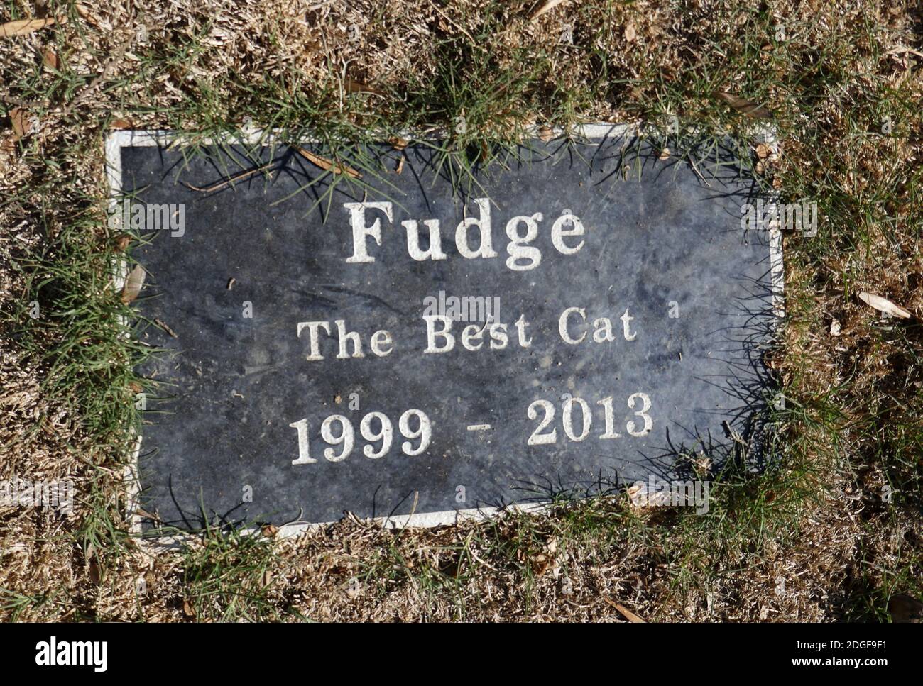 Gardena, California, USA 2nd December 2020 Pet Grave for Fuidge at Pet Haven Cemetery on