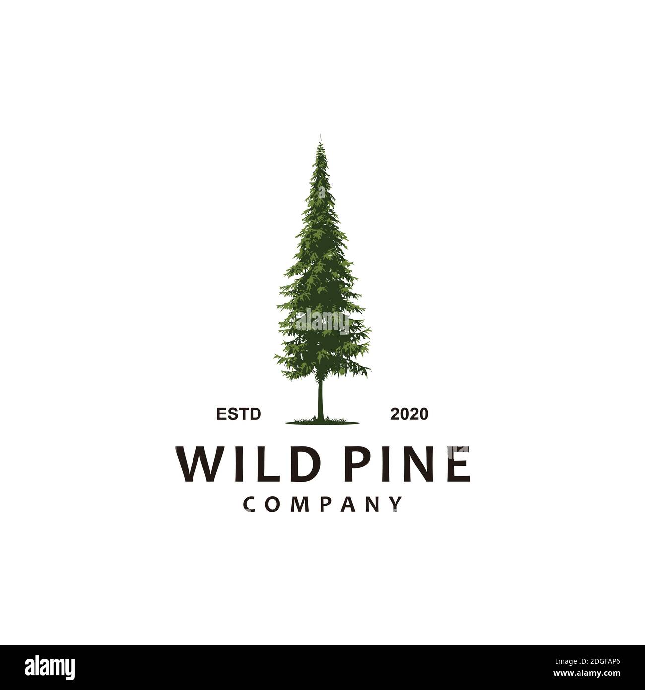 wild pine forest logo illustration Stock Vector