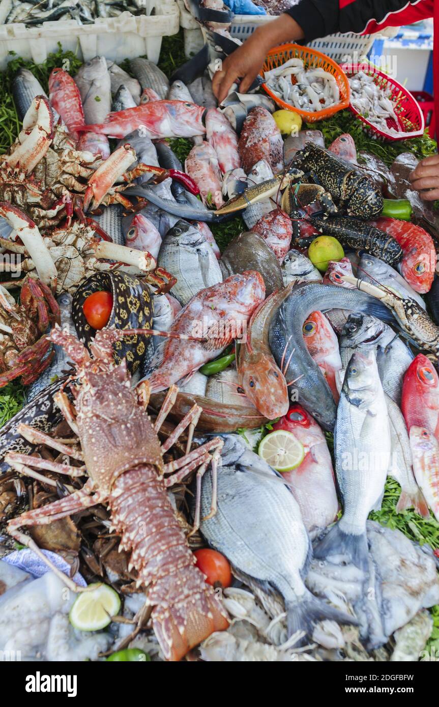 Market stall with fresh fish and seafood. Stock Photo