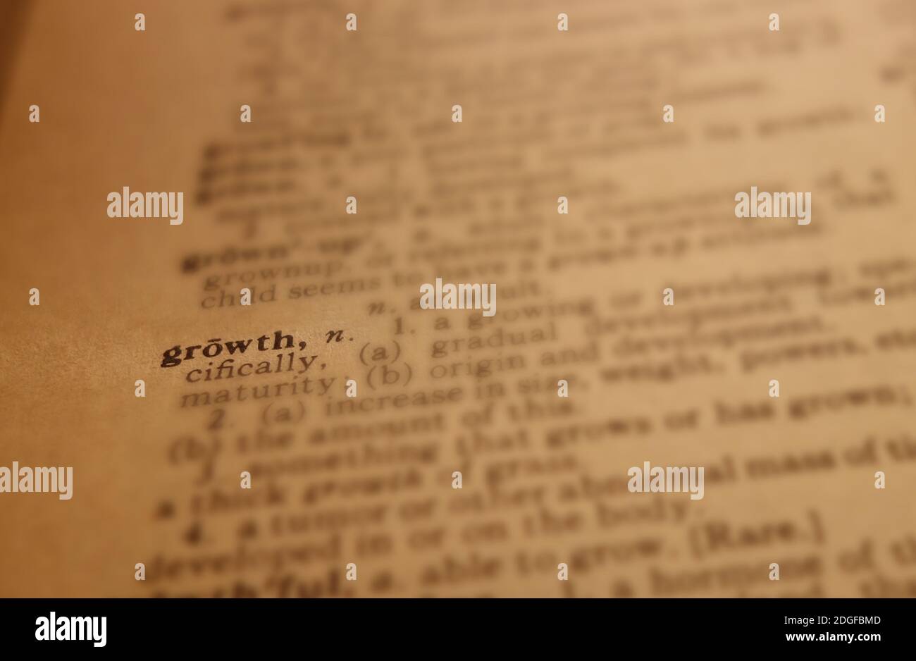 Growth dictionary definition Stock Photo