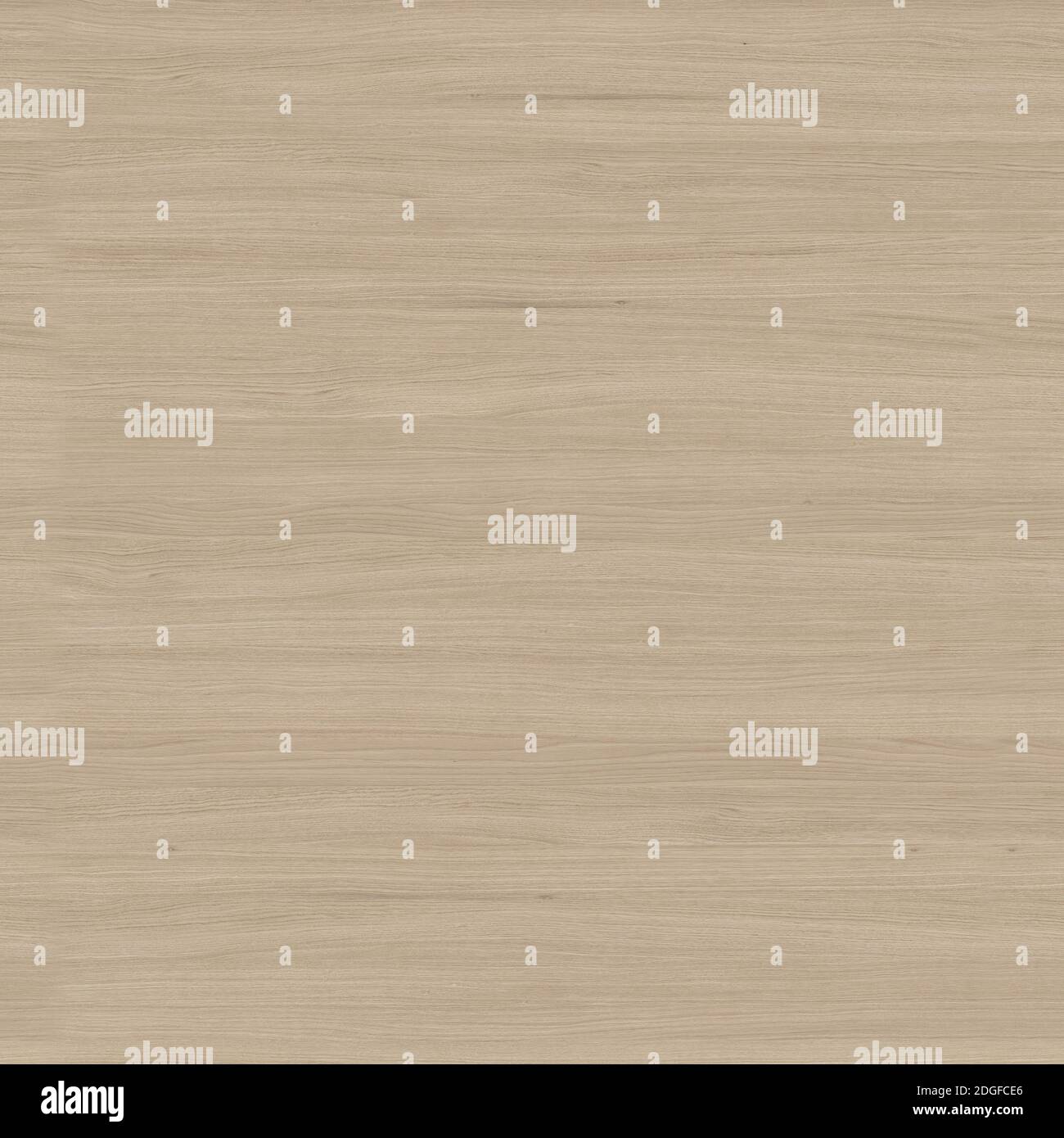 The background image with the texture image of a tree. Stock Photo