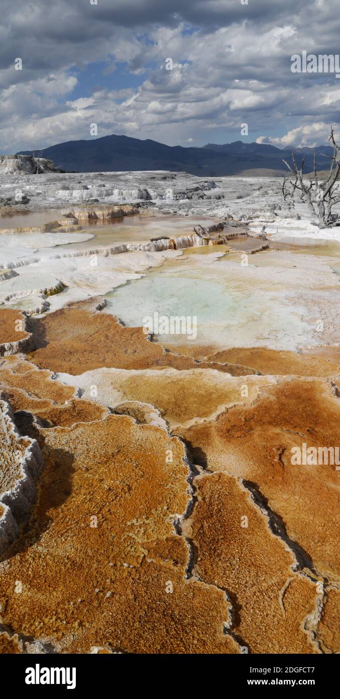 Yellowstone