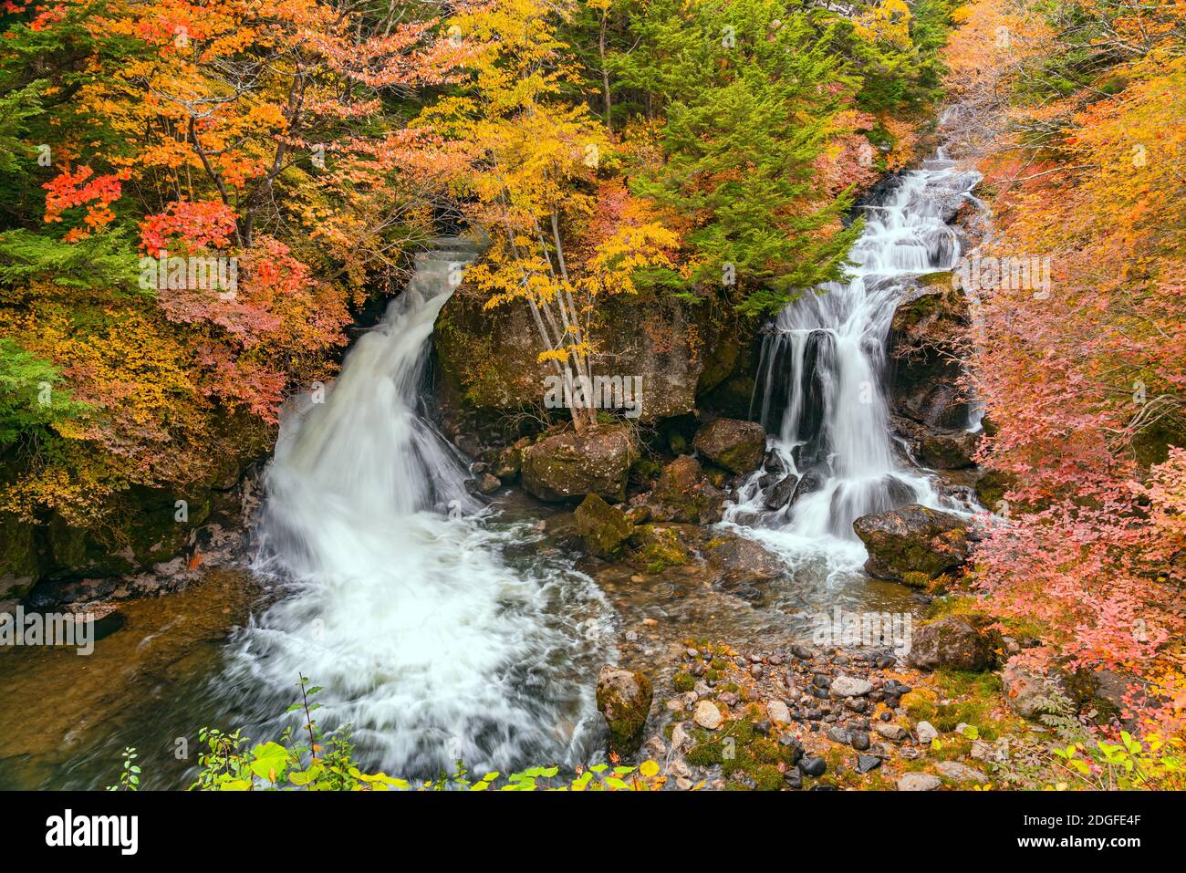 View of Ryuzu Waterfalls with the colorful foliage of autumn season forest. Stock Photo