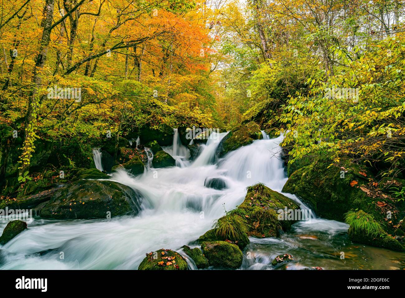 Waterfalls in the Oirase Mountain Stream in colorful foliage of autumn forest Stock Photo