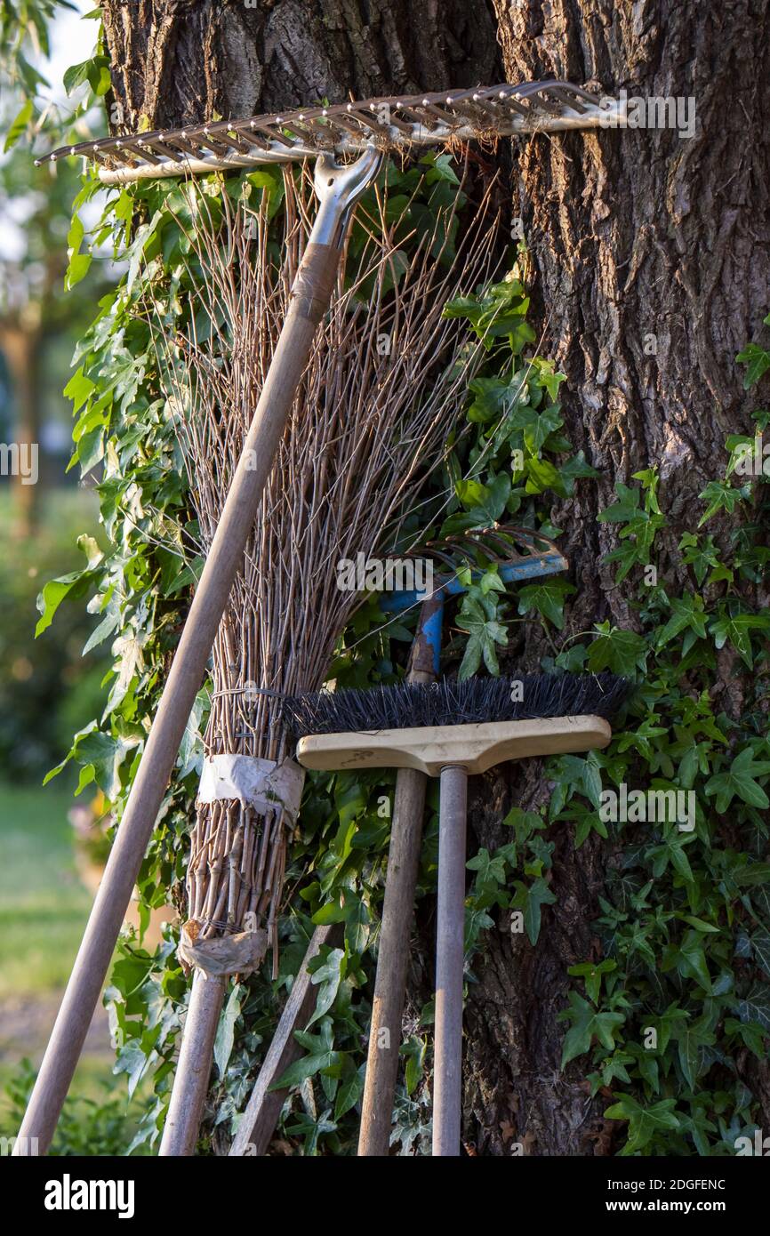 Garden equipment leaning on a tree Stock Photo