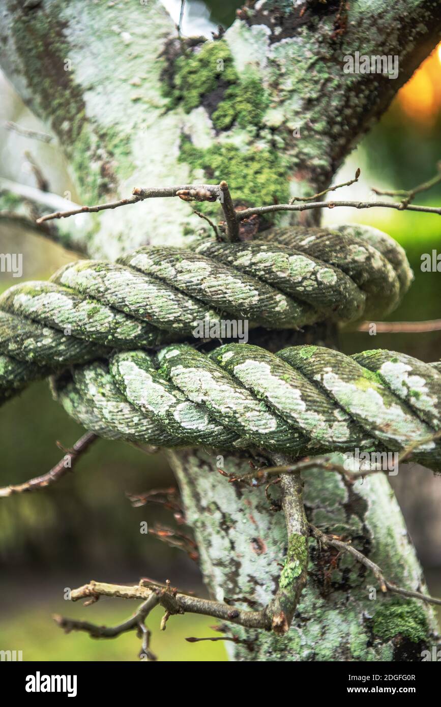 Weathering Stock Photo