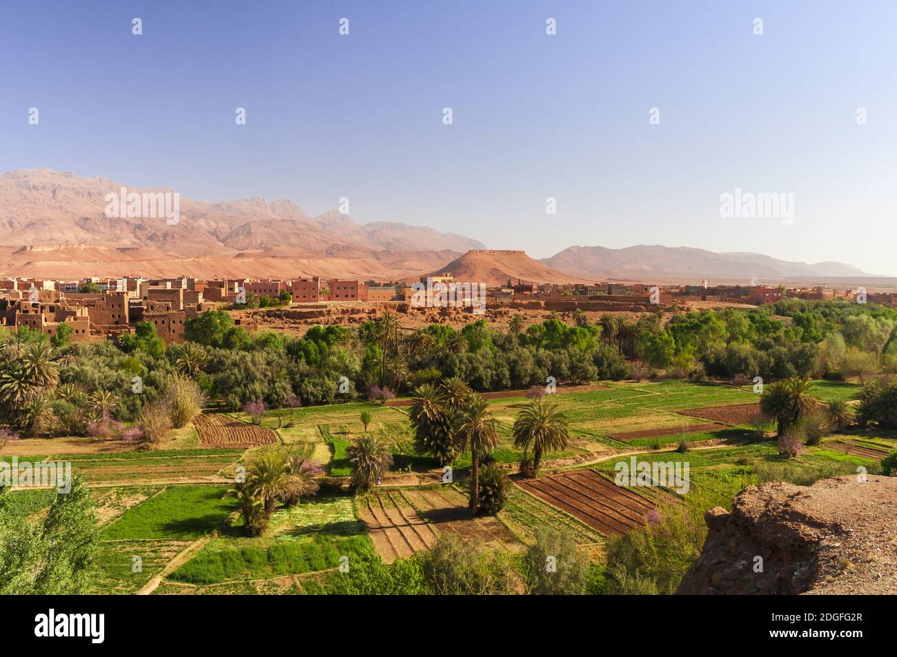 Kasbahs in Dade valley in the south of Morocco, Africa. Stock Photo