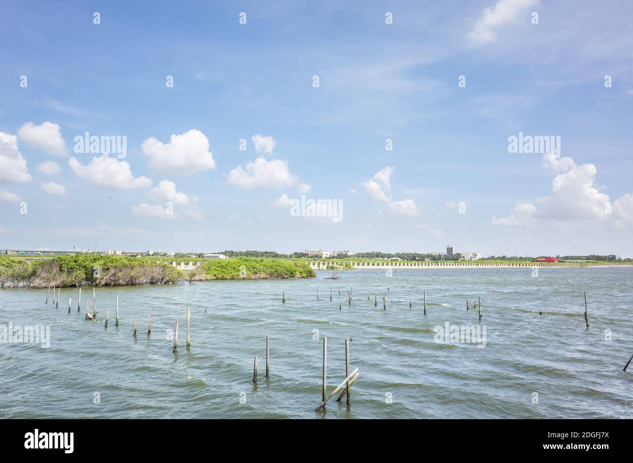 Oyster farm in the sea Stock Photo