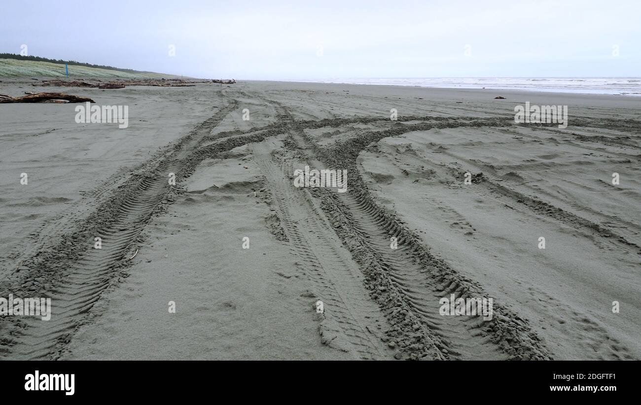 Big vehicle tyre marks in sand on Waitarere Beach, NZ Stock Photo
