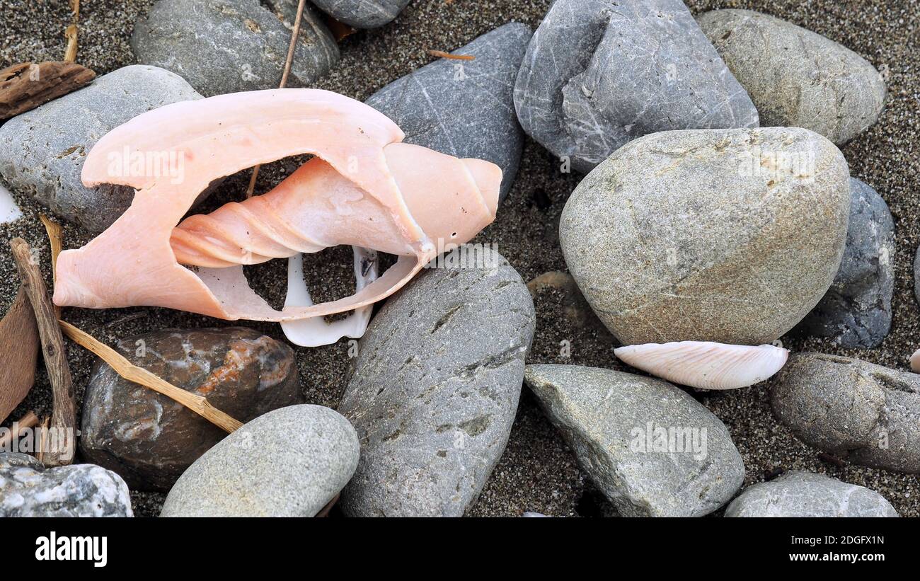 Beach stones and broken shell on grey sand at Te Horo Beach, NZ Stock Photo