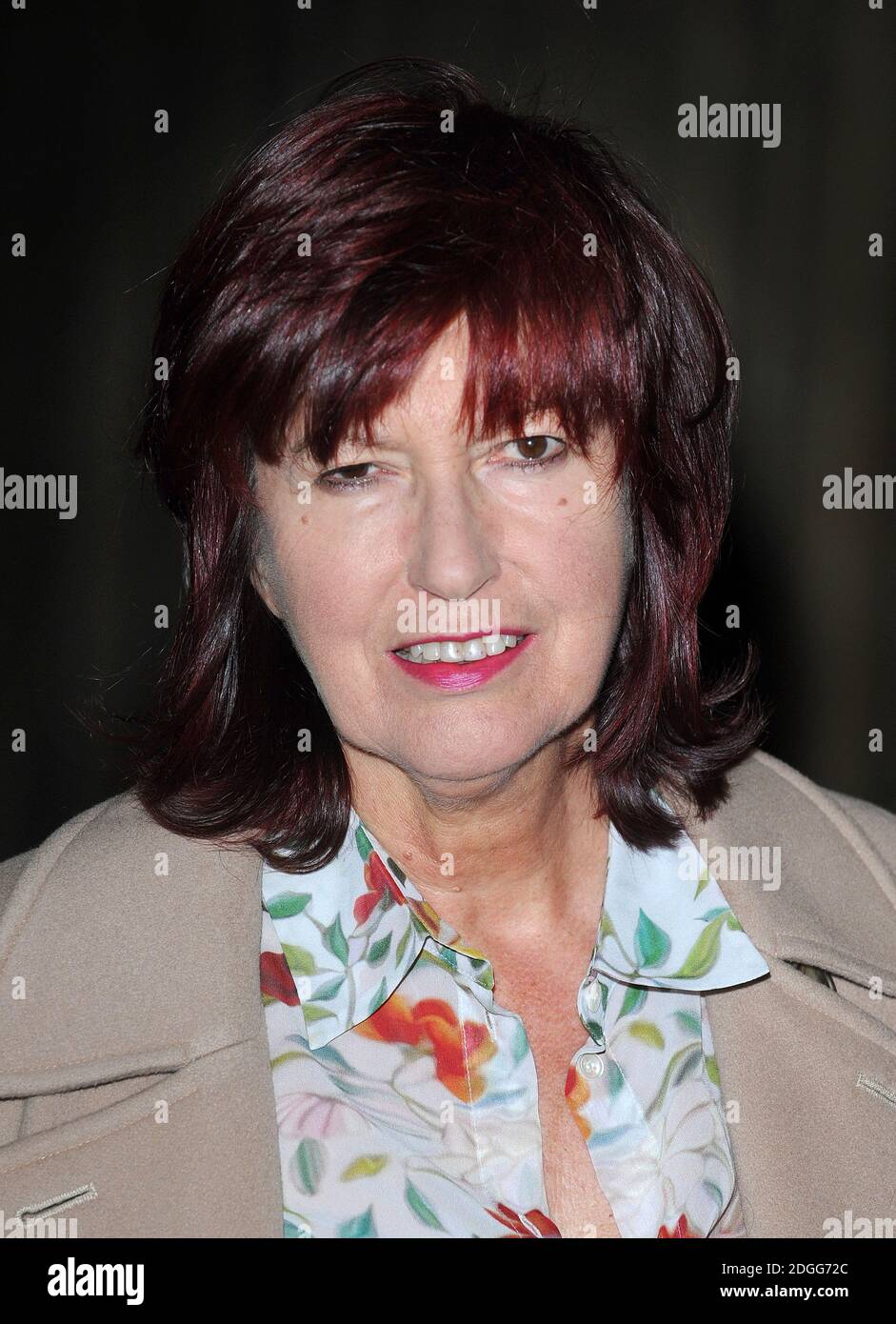 Janet street porter portrait hi-res stock photography and images - Alamy
