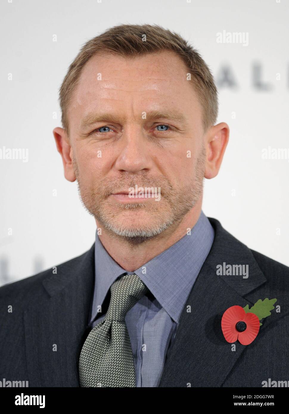 Daniel Craig At A Photocall For The New James Bond Film Skyfall In London Stock Photo Alamy