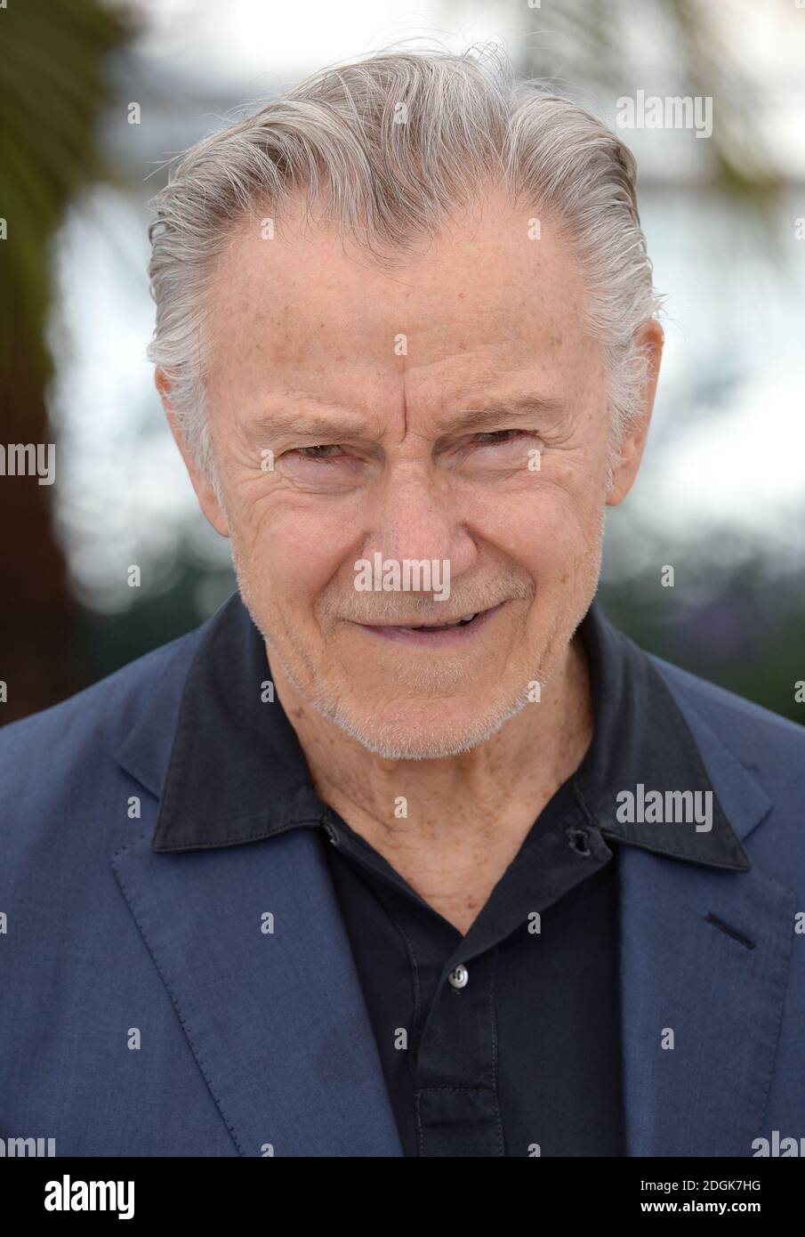 Harvey Keitel attending the photocall for Youth at the Palais de