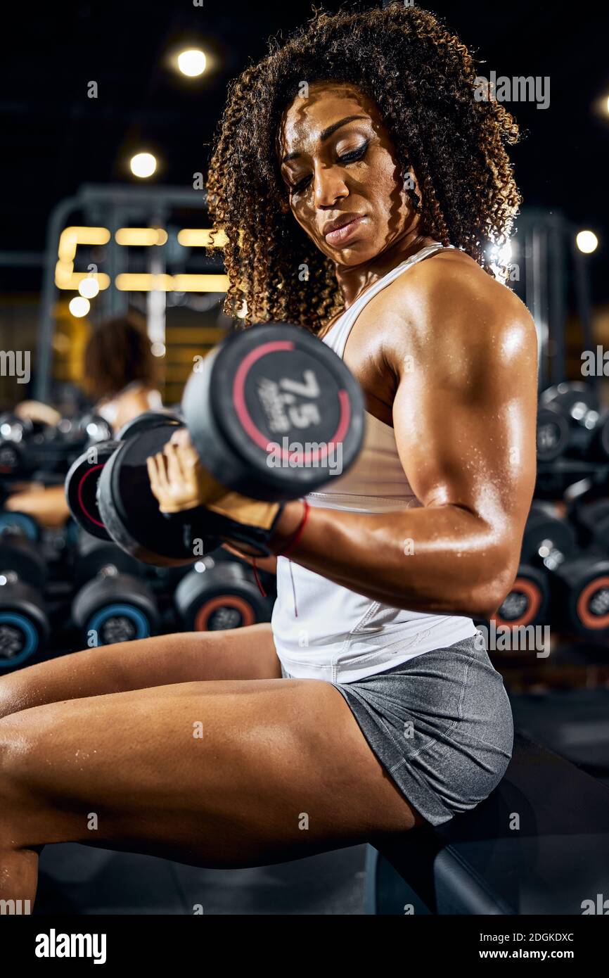 Female bodybuilder doing the seated dumbbell bicep curl Stock Photo - Alamy