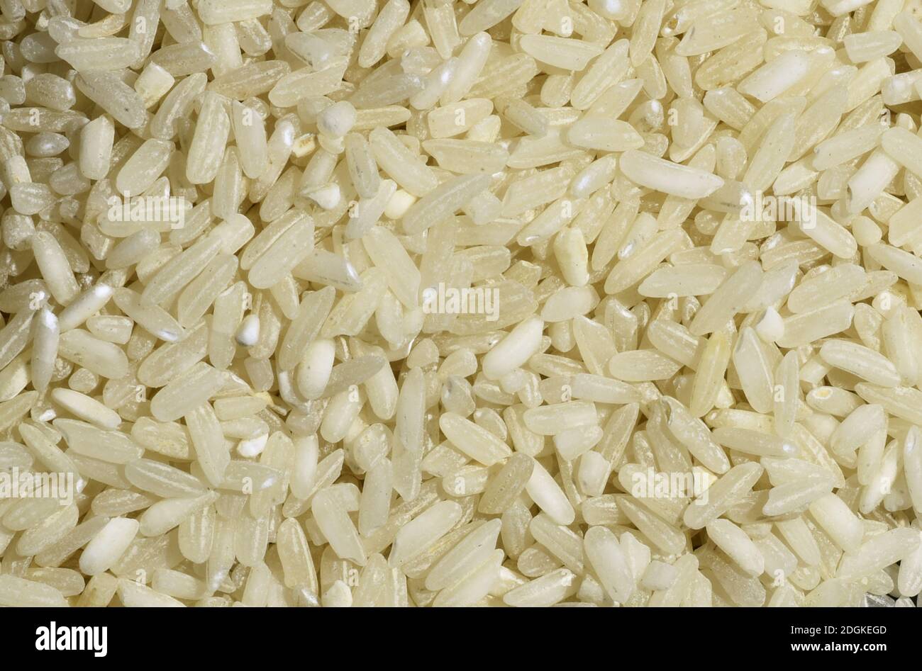 Rice closeup photos.White rice. rice wallpaper Stock Photo - Alamy