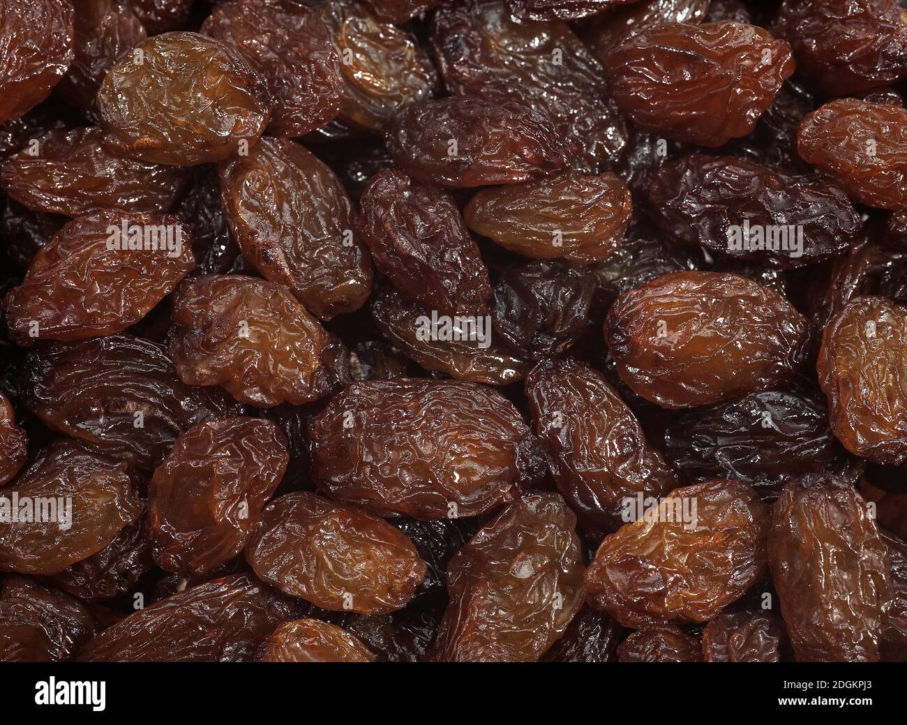 Currant, vitis vinifera apyrena, Black Corinth dried grape Fruits Stock