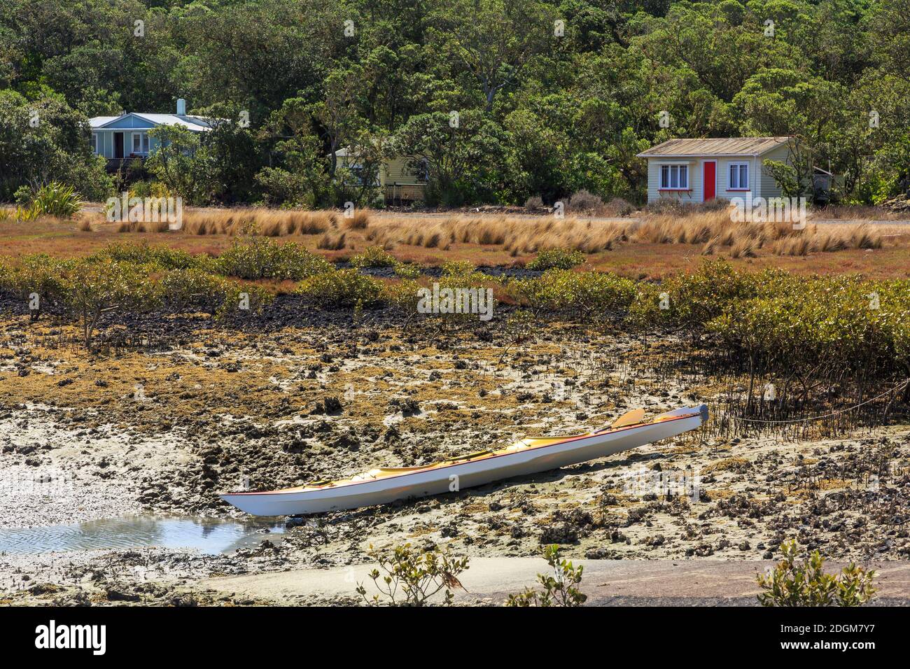 A kayak on the shore of Rangitoto Island, New Zealand. In the forest in the background are two of the island's 'baches', or holiday homes Stock Photo