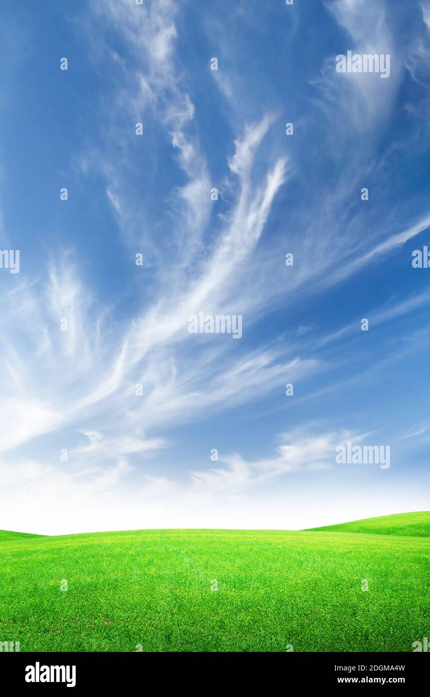 Green grass field and blue sky with bright sun summer landscape ...