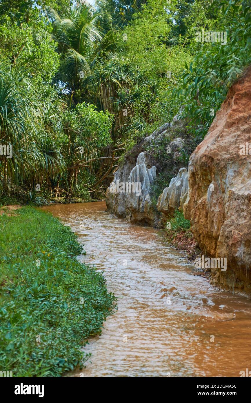 An amazing shot of Fairy stream in Vietnam Stock Photo - Alamy