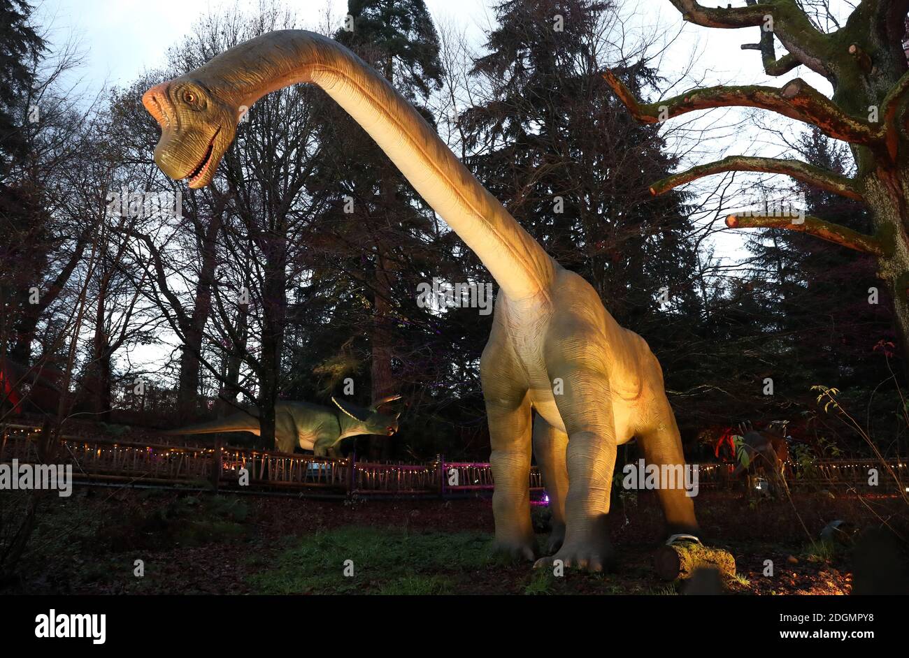 One of the illuminated dinosaurs at Blair Drummond Safari Park near
