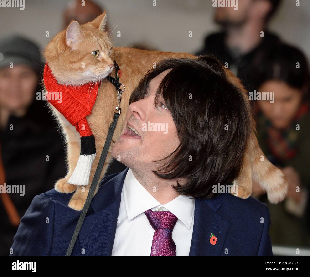 James Bowen and Bob arriving at the World Premiere of A Street Cat