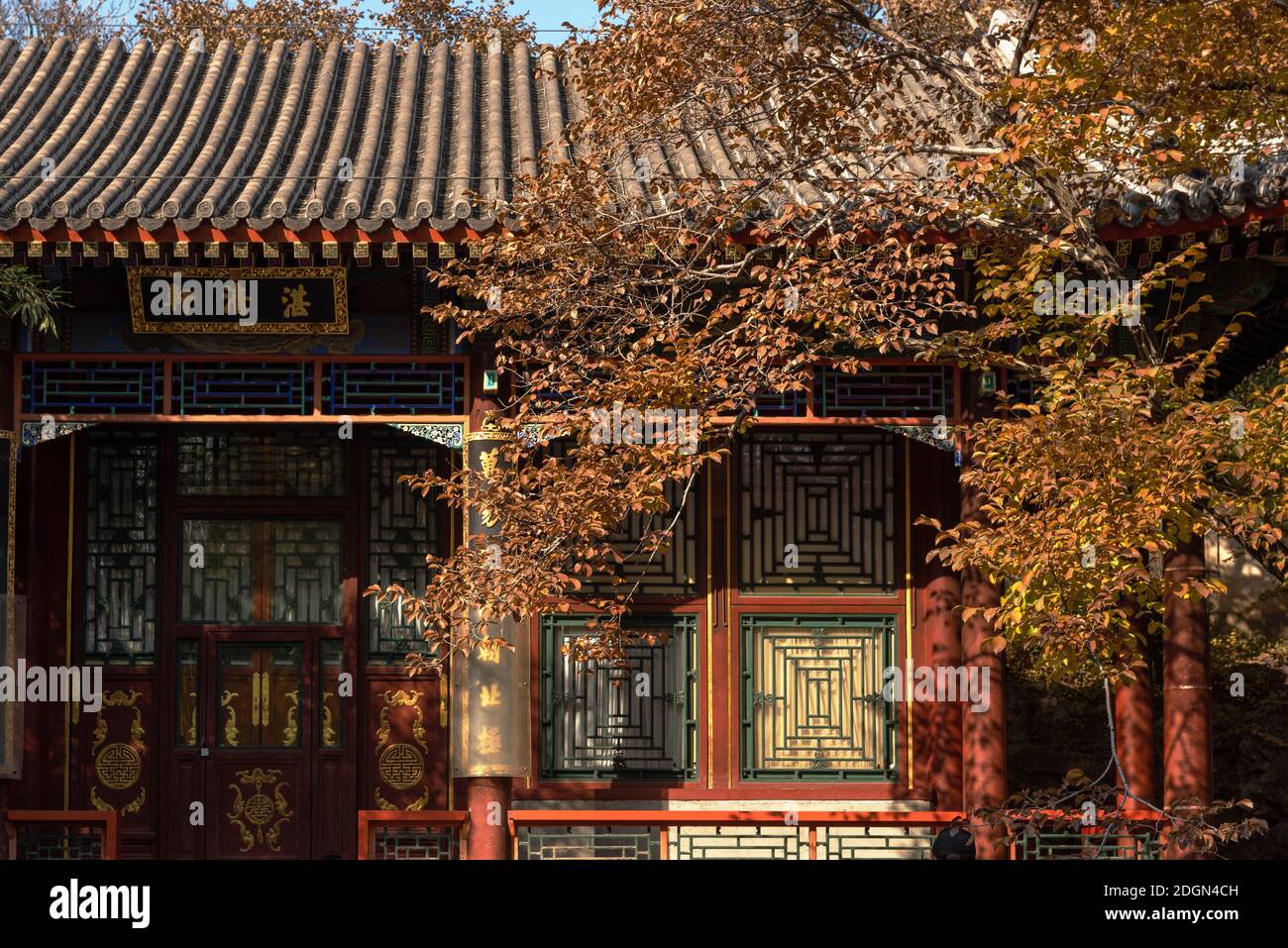 Trees turn into yellow or red within the Summer Palace, a vast ensemble of lakes, gardens and palaces, as autumns comes, making them a wonderful scene Stock Photo