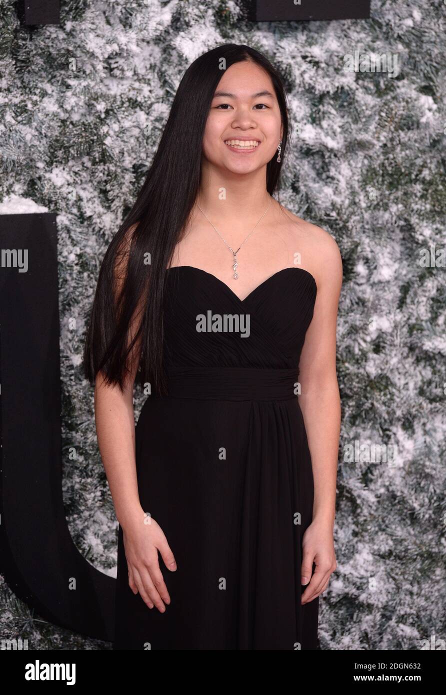 Lily Hevesh attending the Collateral Beauty Premiere, Vue Cinema