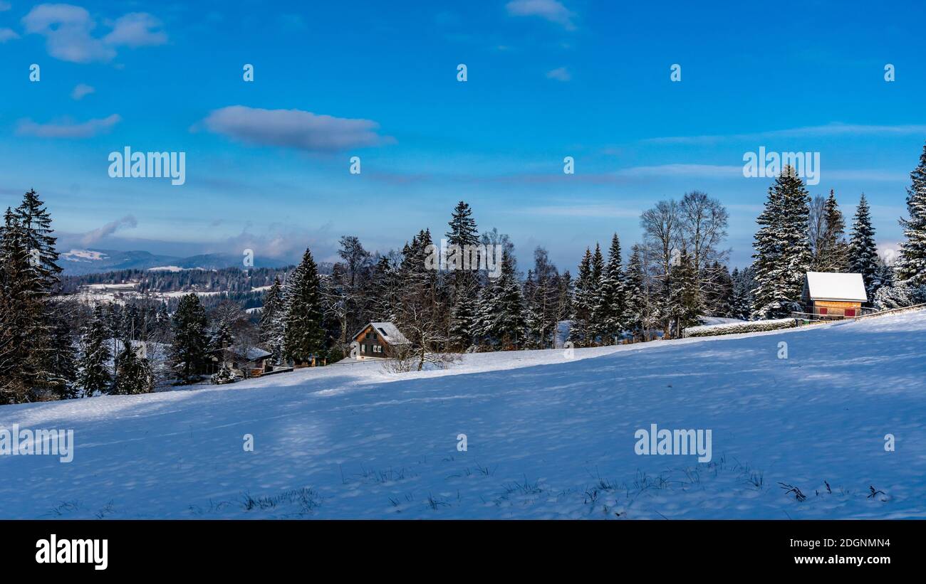 Ferienhaus im Schnee am Waldrand. verschneiter Tannenwald mit Aussicht. snowy forest, first snow. wonderful winter view. Winter in den Bergen. alpine Stock Photo