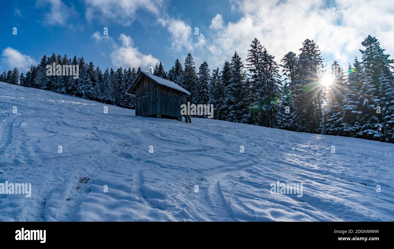 Eine alte Hütte steht am verschneiten Waldrand im Abendlicht. Die Sonne leuchtet durch die schneebedeckten Tannen. old hut on the snowy edge of Forest Stock Photo