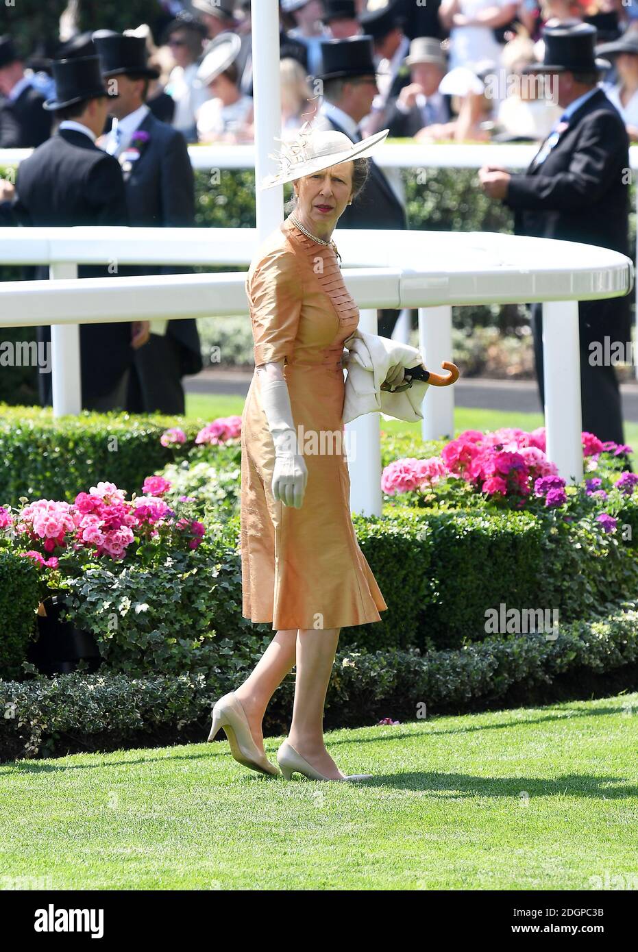 Princess anne royal ascot ascot hi-res stock photography and images - Alamy