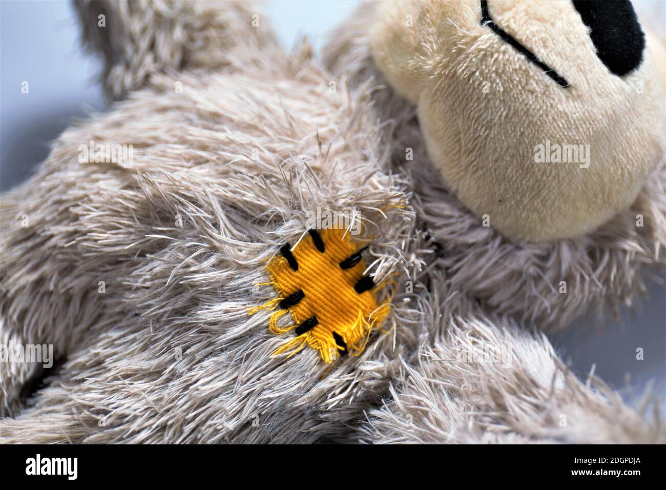 soft toy bear Stock Photo