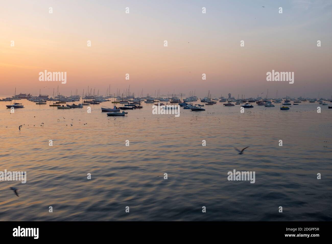 Tourist boats in early morning low light, Mumbai Harbour, next to Gateway of India, Mumbai, India Stock Photo