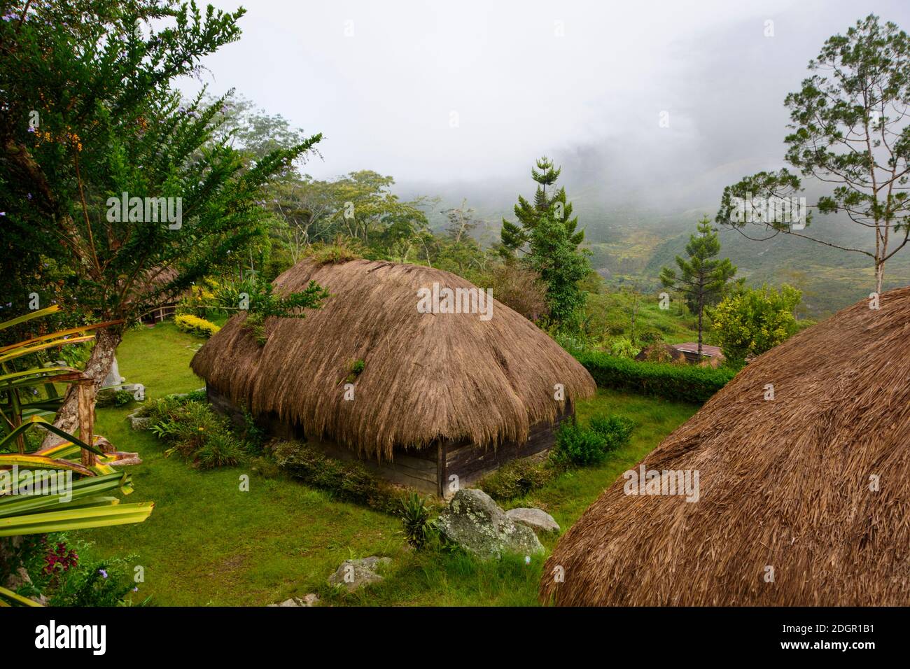 Misty morning in the Baliem Valley. Central Highlands, West Papua, Indonesia Stock Photo