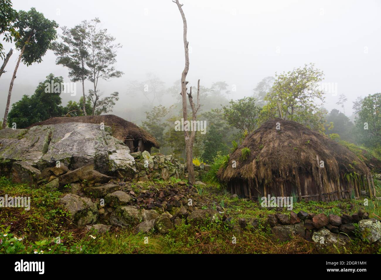 Misty morning in the Baliem Valley. Central Highlands, West Papua, Indonesia Stock Photo