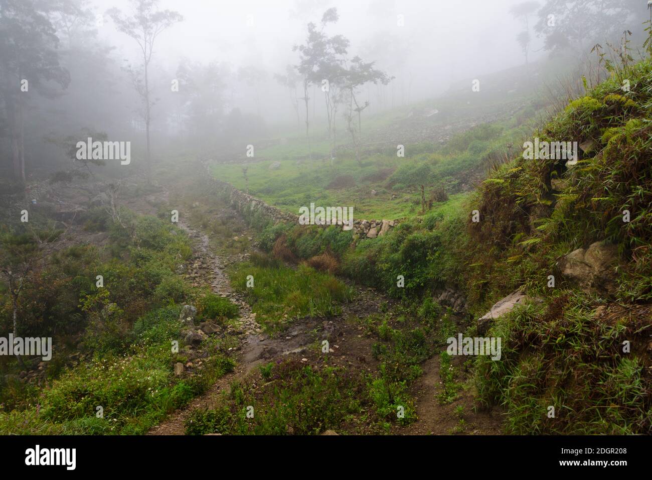 Misty morning in the Baliem Valley. Central Highlands, West Papua, Indonesia Stock Photo